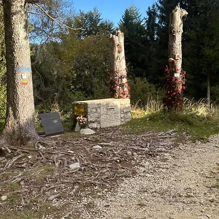 Serena Bed & Breakfast