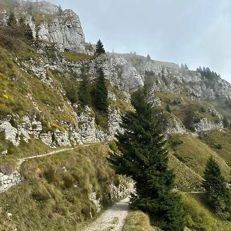 Bed & Breakfast Serena Seren del Grappa